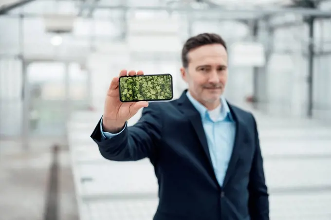 Businessman showing smart phone device screen in greenhouse