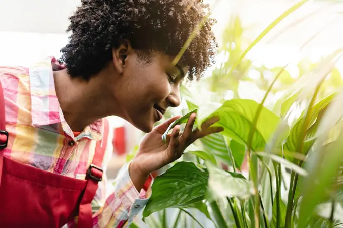 Smiling gardener smelling leaf of plant at nursery