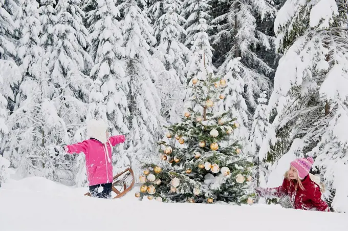 Austria, Salzburg County, Girls having fun in snow with christmas tree