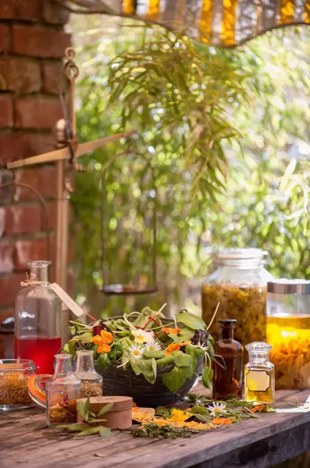 Assortment of medicinal herbs