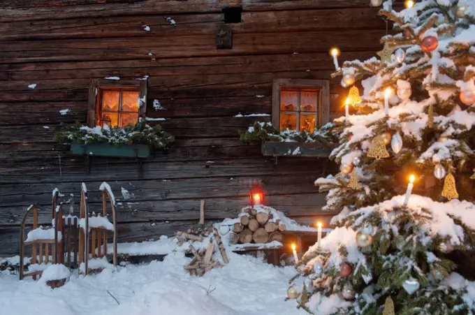 Austria, Salzburg State, Altenmarkt-Zauchensee, facade of wooden cabin with lightened Christmas Tree in the foreground