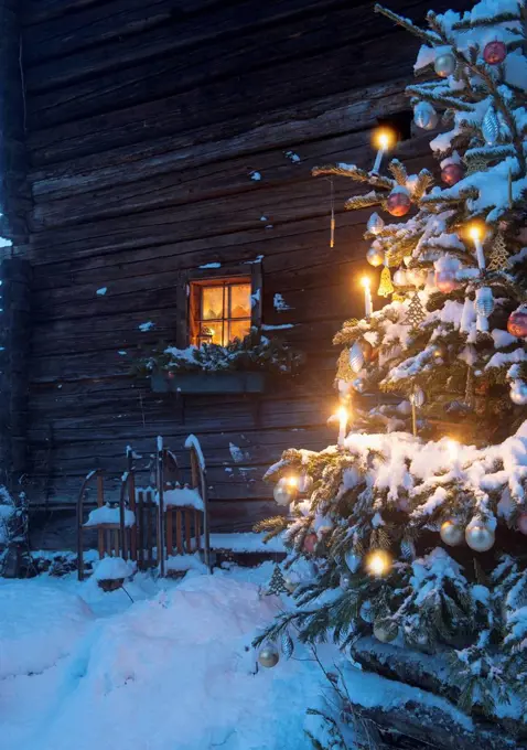 Austria, Salzburg State, Altenmarkt-Zauchensee, facade of wooden cabin with lightened Christmas Tree in the foreground