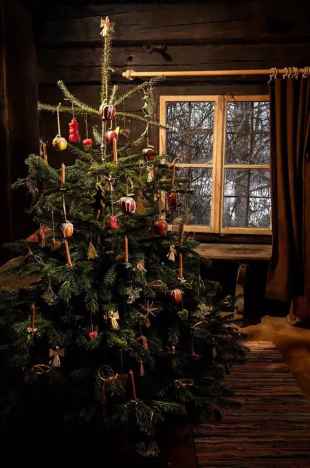 Decorated Christmas tree standing in a farmhouse