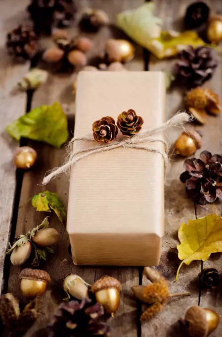 Wrapped present in between autumnal decoration