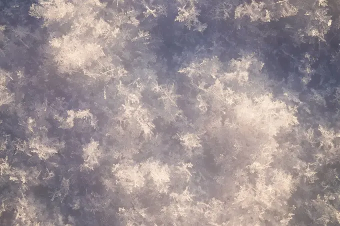 Snow at sunlight, close-up