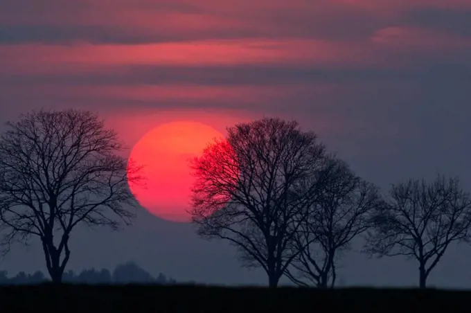 Germany, Bavaria, sunset, evening sun and trees