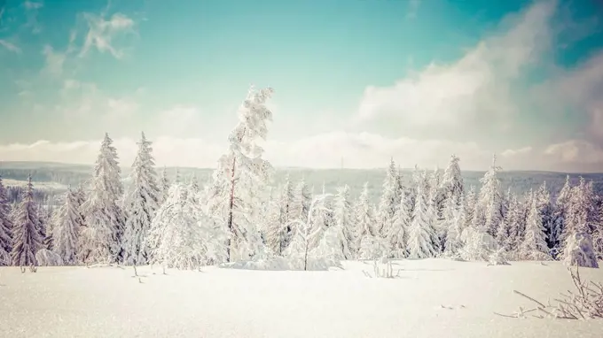 Germany, Baden-Wuerttemberg, Black Forest, Schliffkopf, snow-covered landscape