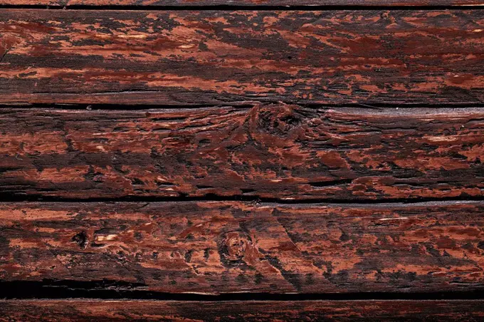 Wooden texture, brown wood