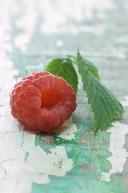 Raspberry with leaves, close-up