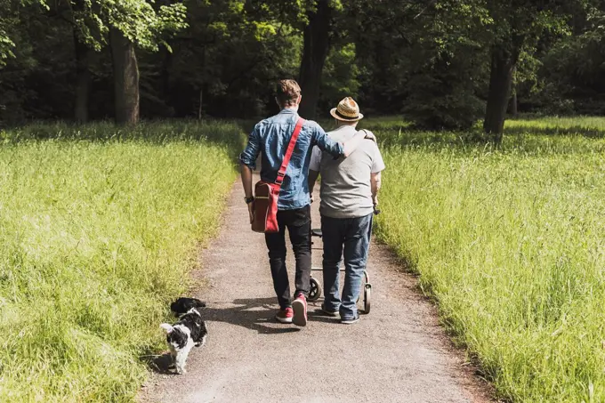 Back view of grandfather walking with grandson and dog in nature