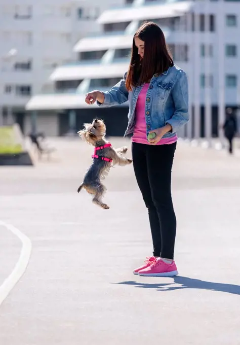 Young woman playing with her Yorkshire Terrier