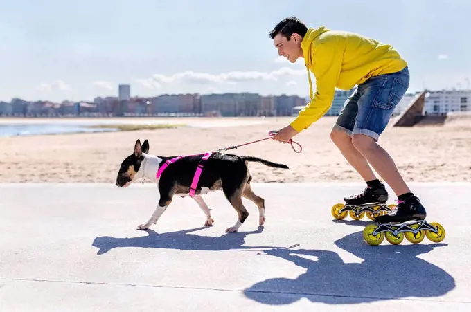 Inline-skater with his bull terrier