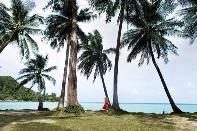 Thailand, girl on palm beach
