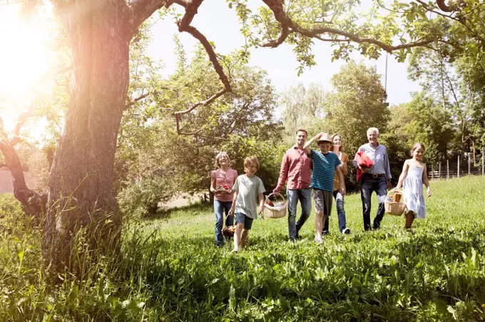 Extended family walking with picnic baskets in meadow