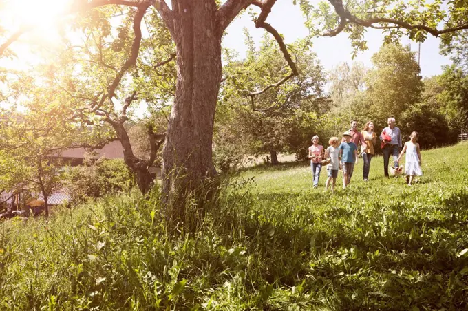 Extended family walking with picnic basket in meadow