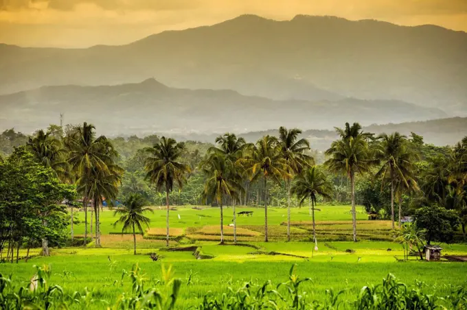 Indonesia, Java Island, Landscape with mountains