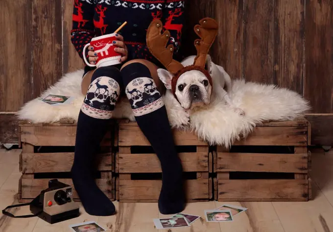 Young woman wearing winter fashion sitting besides her French bulldog at Christmas time