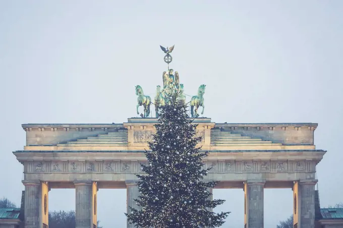 Germany, Berlin, Christmas tree in front of Brandenburg Gate