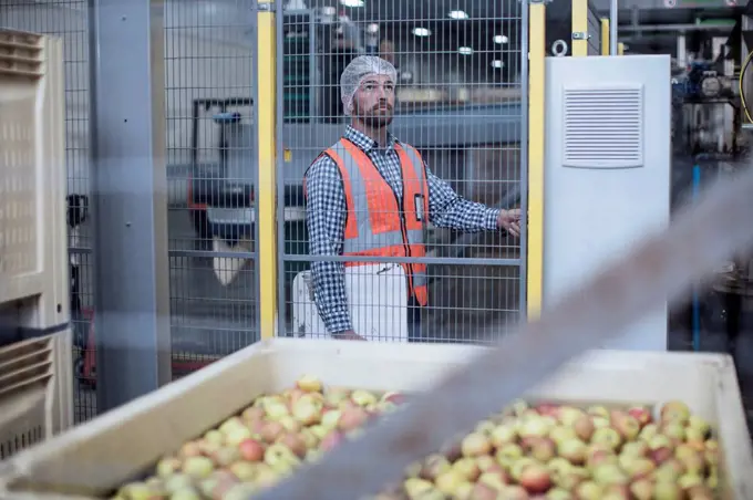 Inspector in apple distribution factory