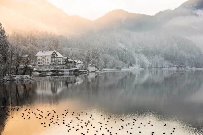 Germany, Lake Kochel in winter