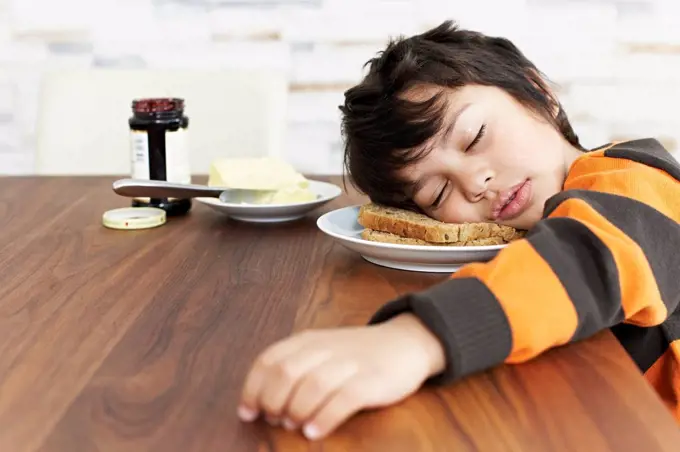 Portrait of little boy sleeping at breakfast table