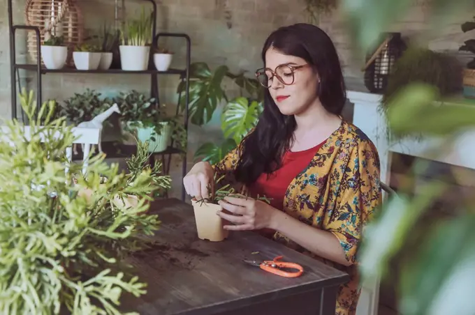 Young woman planting cactuses