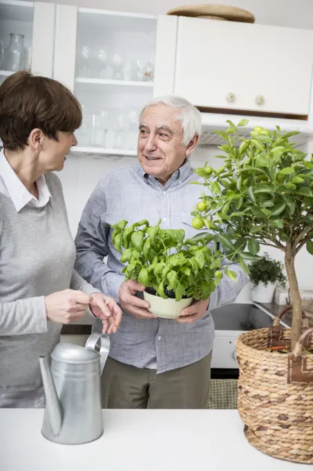 Senior couple watering potted plants in kitchen