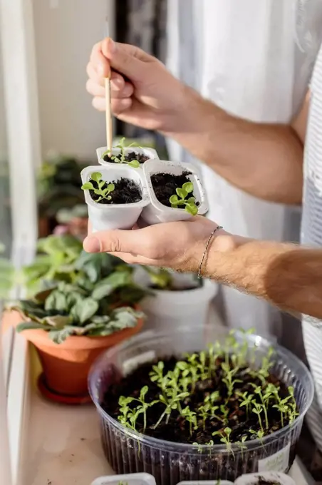 Young man with plants at the window