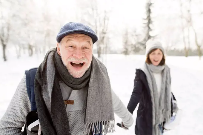 Happy senior couple in winter landscape