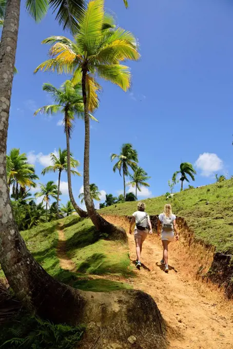 Dominican Republic, Samana, two women hiking on path with palm trees