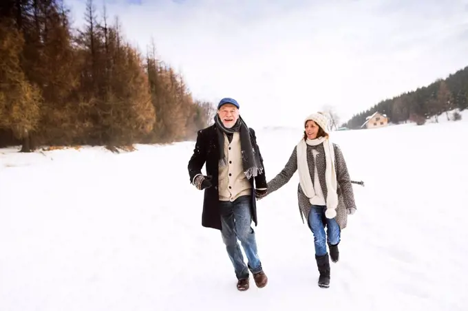 Happy senior couple walking in snow-covered landscape