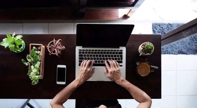 Overhead view of woman using laptop with cell phone and plants on wooden table