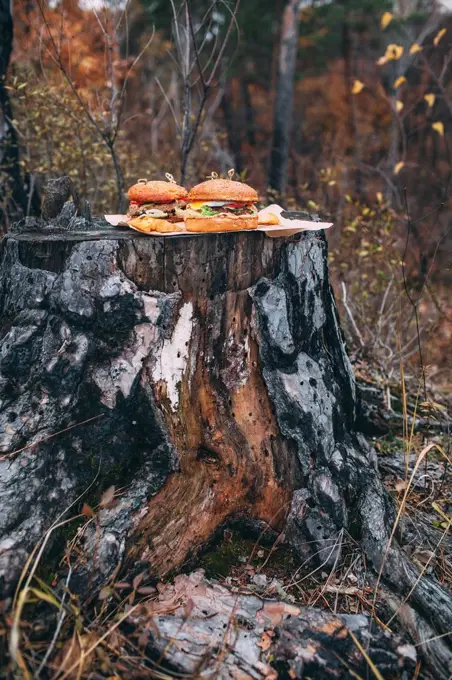 Fresh burger on stamp