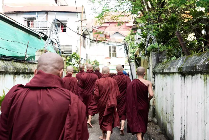 Myanmar, Yangon, Group of novice monks