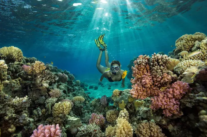 Egypt, Red Sea, Hurghada, teenage girl snorkeling at coral reef