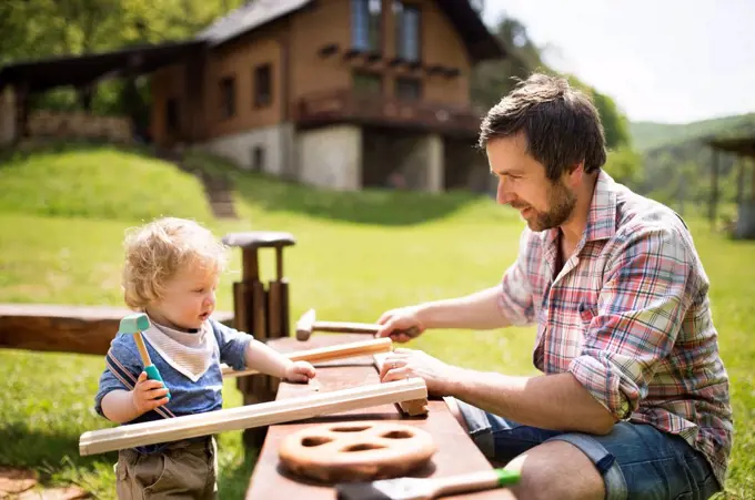 Father and little son working with hammer in garden