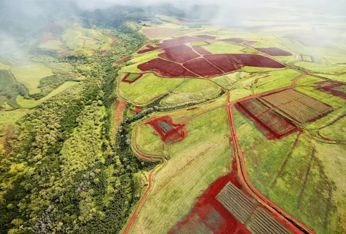 USA, Hawaii, Kauai, field landscape, aerial view