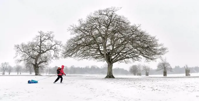 UK, woman pulling sled through snow-covered winter landscape