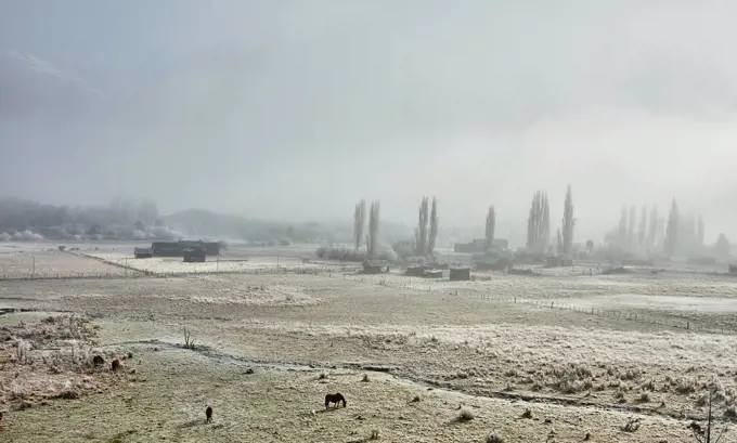 Argentina, Patagonia, Lake District, winterly farm landscape in fog