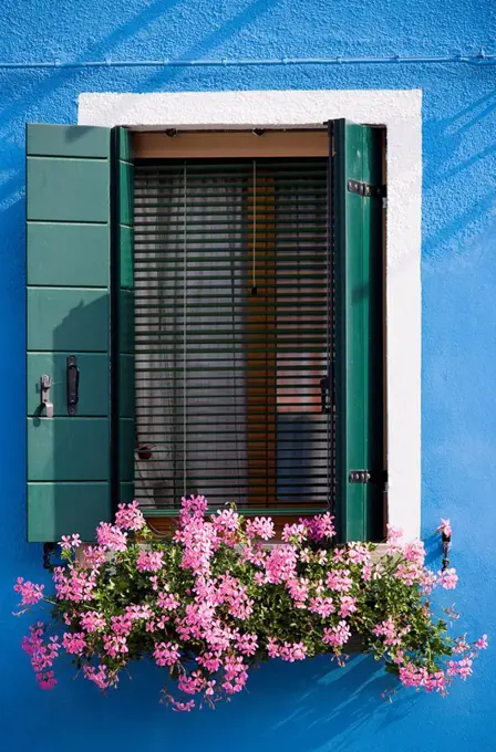 Italy, Venice, Burano, Window, Flower box with geranium flowers