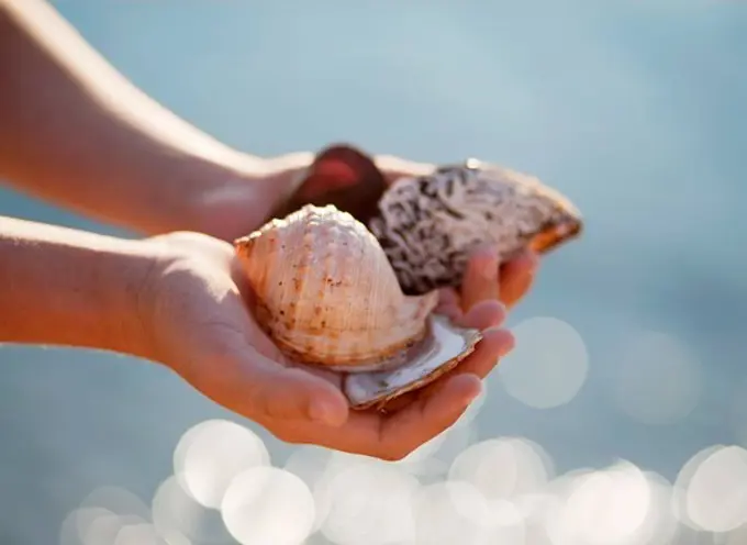 Croatia, Zadar, Girl holding shells at beach