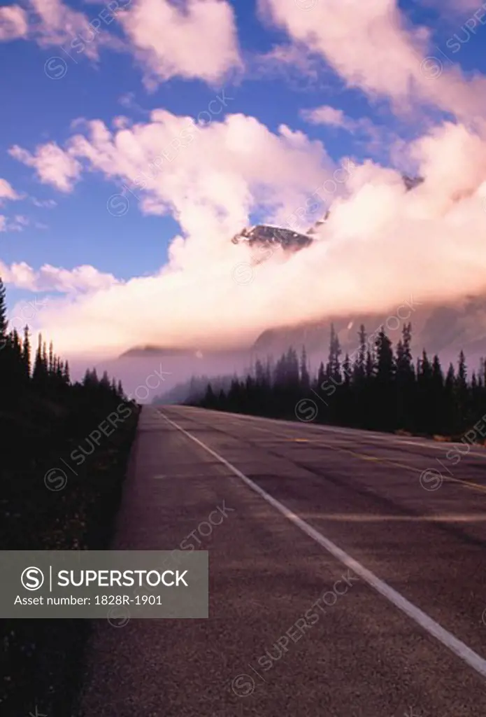 Highway #93 Banff National Park Alberta, Canada   