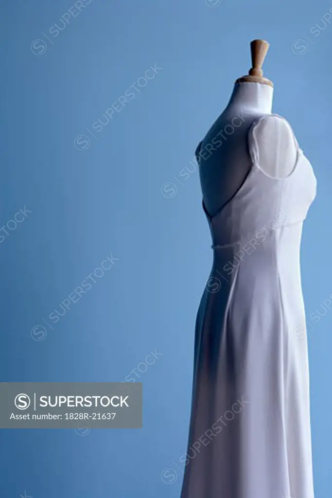 Wedding Gown on Mannequin   