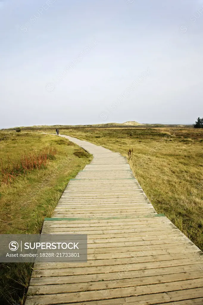 Wooden Pathway   