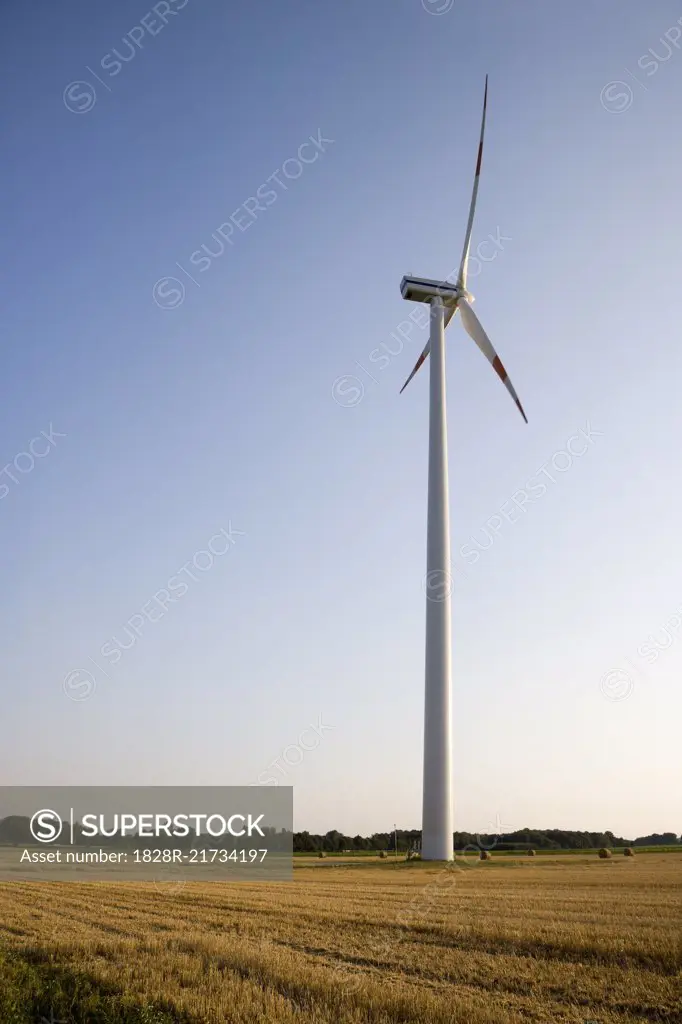 Wind Turbine in Field   