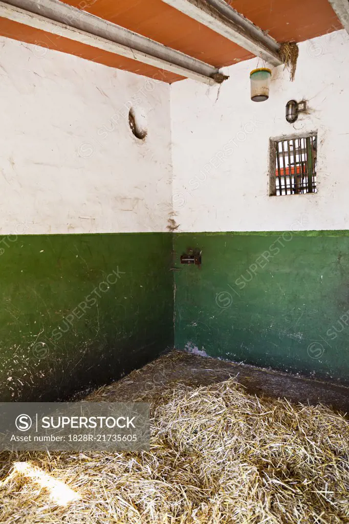 Horse Stall in Stable