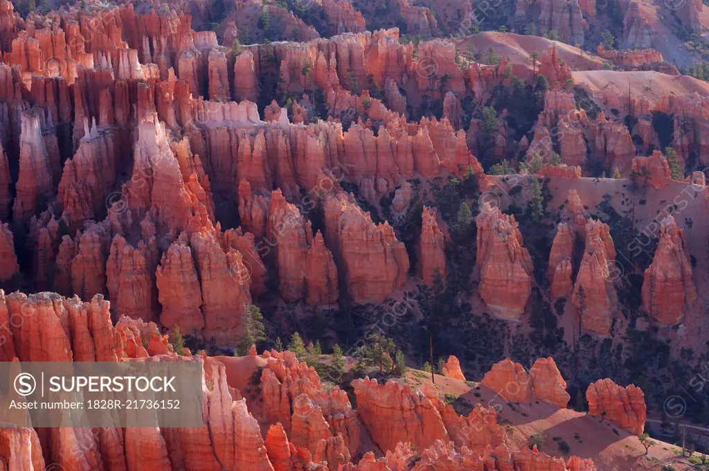 Overview of the Hoodoos of the Claron Formation at sunrise in Bryce Canyon National Park, Utah, USA