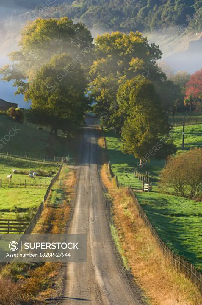 Country Road, Te Kuiti Township, North Island, New Zealand   