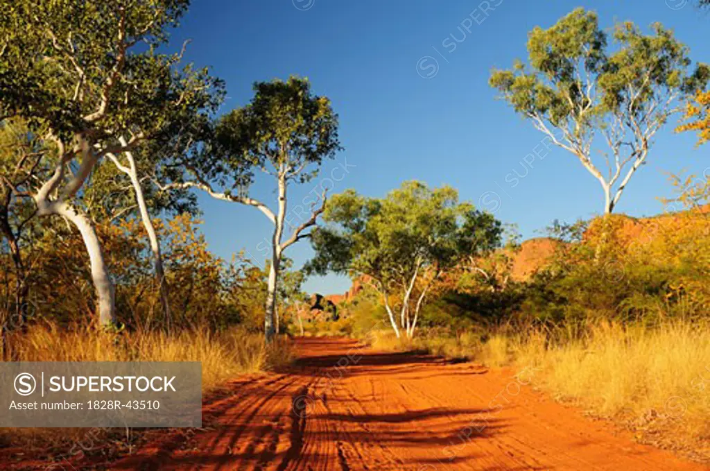 Road in Purnululu National Park, Kimberley, Western Australia, Australia   