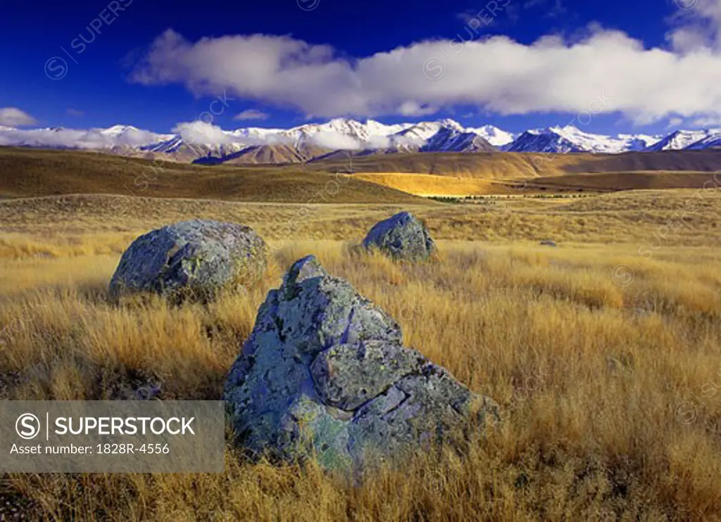 Rocks in Field, Pukaki Scientific Reserve, South Island, New Zealand   